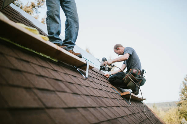 Best Roof Waterproofing Services  in Wentzville, MO