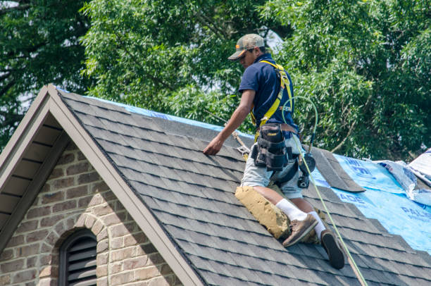 Best Local Roofing Companies  in Wentzville, MO